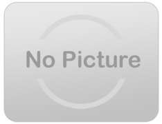 Dark Maple Dance Floor