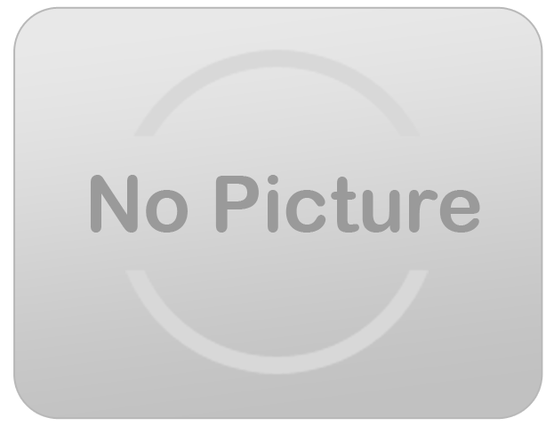 Dark Maple Dance Floor